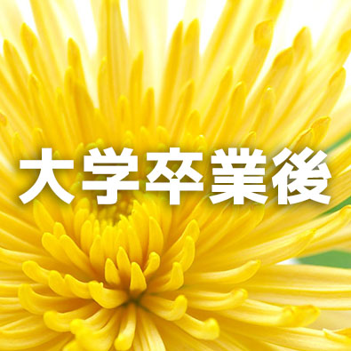 大学卒業後